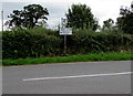 Directions and distances sign near Dingestow