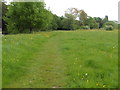 The Thames Path National Trail near Burcot