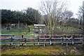 Allotments by the Central Line