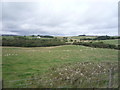 Sheep grazing near West Park