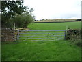 Field entrance and footpath off Cowsley Lane