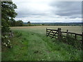 Field entrance off the A690