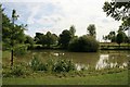 Pond, Frith House