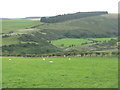 The Haystall from near Dirtside