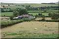 Sheep at Star Farm