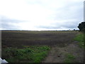 Field near Binchester