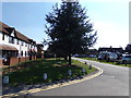 Seats at Great Baddow Recreation Ground