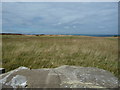 Field above Appleton Quarries