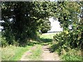 Public footpath to Thurton