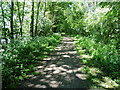 The Thames Path National Trail near Dedworth