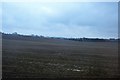 Ploughed field