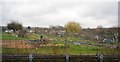 Trackside allotments