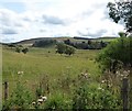 View to Ruthven Farm