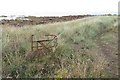 Redundant kissing gate