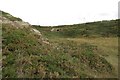 Greenbrae Quarry, Cummingston