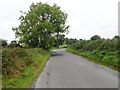 Drumalt Road ascending towards the junction with Slatequarry Road