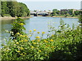 View from the Thames Path National Trail near Mortlake