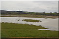 Localised flooding, Exminster Marshes