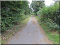 Lidget Lane leaving Coneythorpe