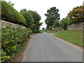 Westfield Lane in Arkendale