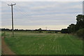 Powerlines over the bridleway