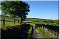 Hollins Lane towards Marsden