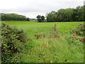 View SSE across grazing land in the direction of Comly Lough