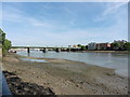 View from the Thames Path National Trail near Wandsworth Park