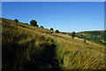 SE0612 : Colne Valley Circular Walk towards Meltham Road by Ian S