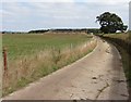 Farm track, east of Dial