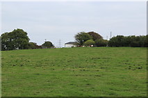 ST1072 : Field next to Maes-y-felin, St Lythans by M J Roscoe