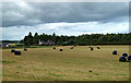 NJ0657 : Fields Near Forres by Mary and Angus Hogg