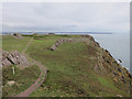 SM7204 : Skokholm from the lighthouse by Hugh Venables