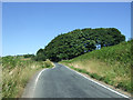 Minor road near Crawshaw Head