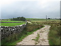 Lane to Halligill west of Great Asby