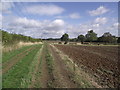 Bridleway from Great Glen to Great Stretton