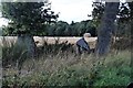 Harvested field at Farmhall, near Forgandenny