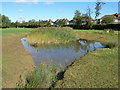 Pond in open space, Ruislip Gardens