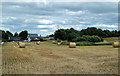 Farmland at Tarras