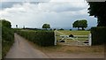 Old Road at White Horse Farm