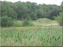 TL2171 : Hill mound at Hinchingbrooke Country Park by Peter S