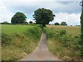 Narrow Lane - Old Road