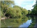 Grand Union Canal, Paddington Arm