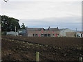 Ruined roof at Muirton of Ballochy