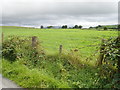 Farm sheds on Blackbridge Road