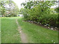 Litter near Telford town centre