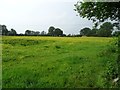 Farmland near Loppington