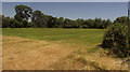 Field near Wylye