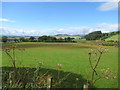 NO4662 : Beautiful farmland south of the Angus hills  by ian shiell