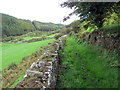 Llwybr ger Gernos / Path near Gernos